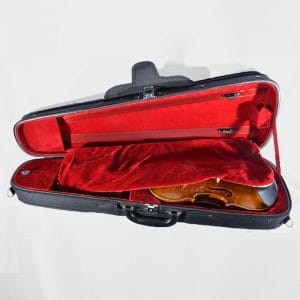 EastmanDartShapedViolinCaseInterior